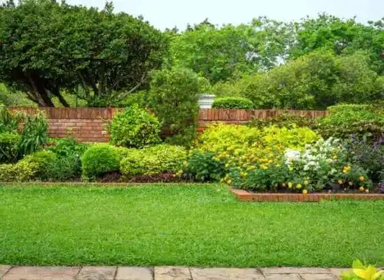 landscaping services Brooklyn Center